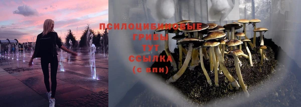 герыч Алексин