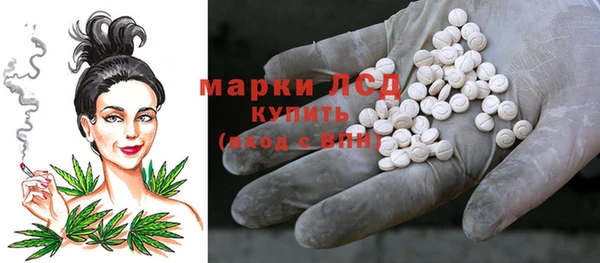 гидра Покачи