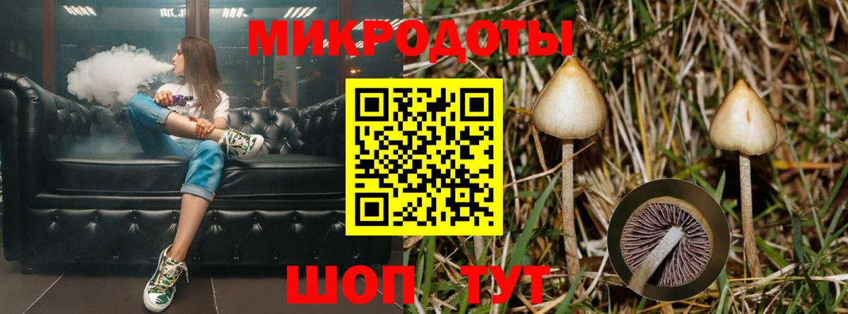 Псилоцибиновые грибы GOLDEN TEACHER Татарск